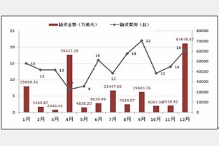 景源华庭 布吉阳光花园租房